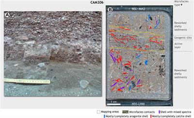 Thermo-microstratigraphy of shells reveals invisible fire use and possible cooking in the archaeological record